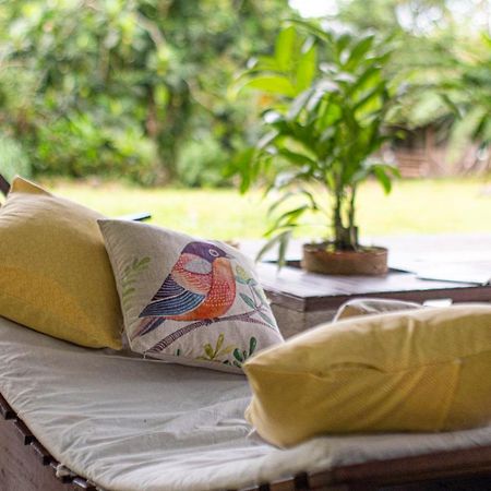 Popone Farm & Lodge Guápiles 外观 照片