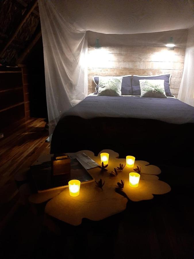 Popone Farm & Lodge Guápiles 外观 照片